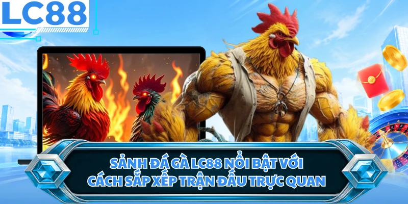 Sảnh đá gà LC88 nổi bật với cách sắp xếp trận đấu trực quan